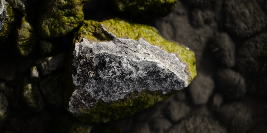 Energy and Critical Minerals: A Shared Vision