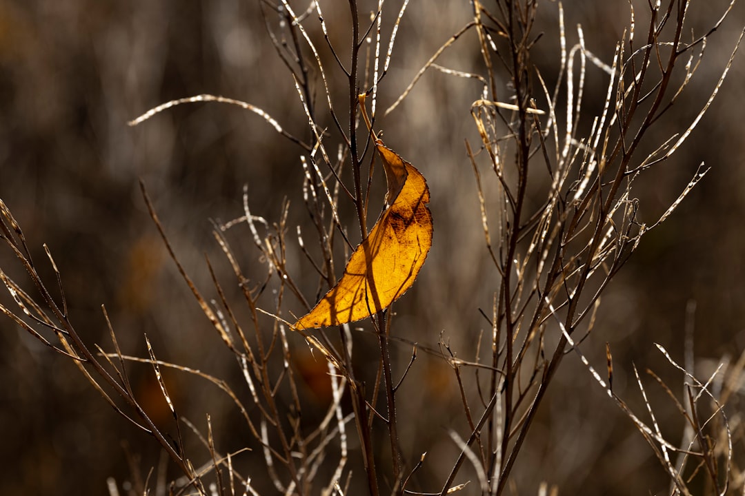 Preparing for an Uncertain Season