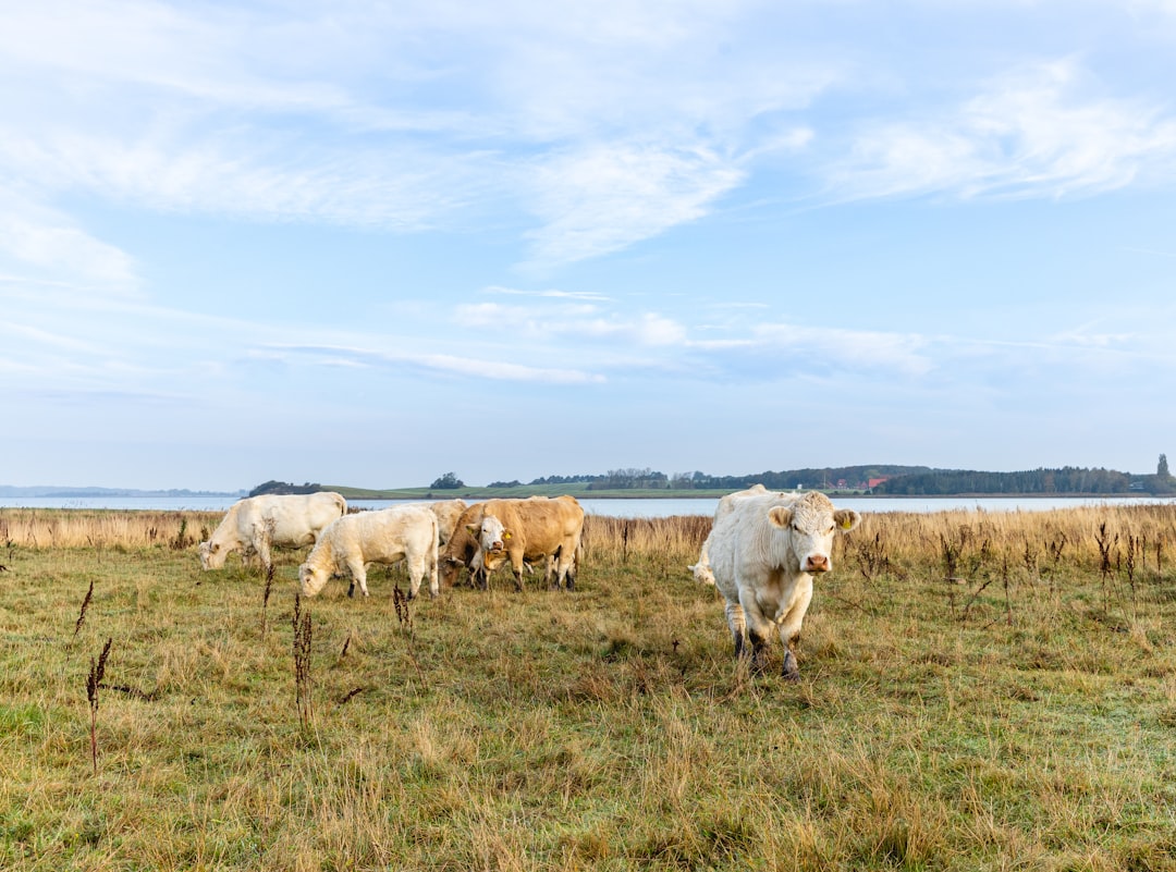 Impact on Biodiversity