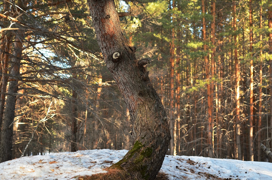 The Disturbing Nature of Covert Recordings