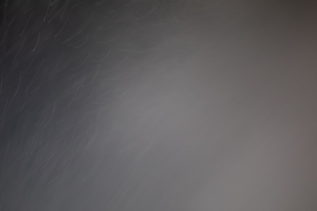 Oil Prices Respond to Mixed Signals