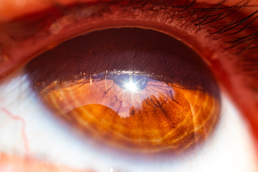 A Vision for Healing