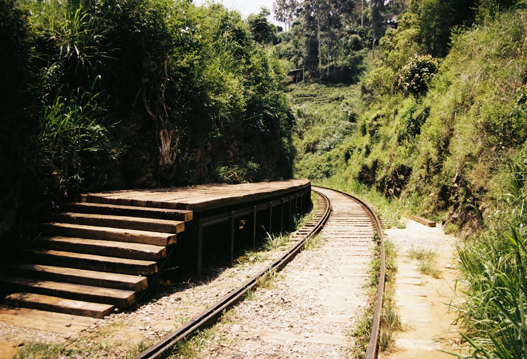 The Pathways Plus Project