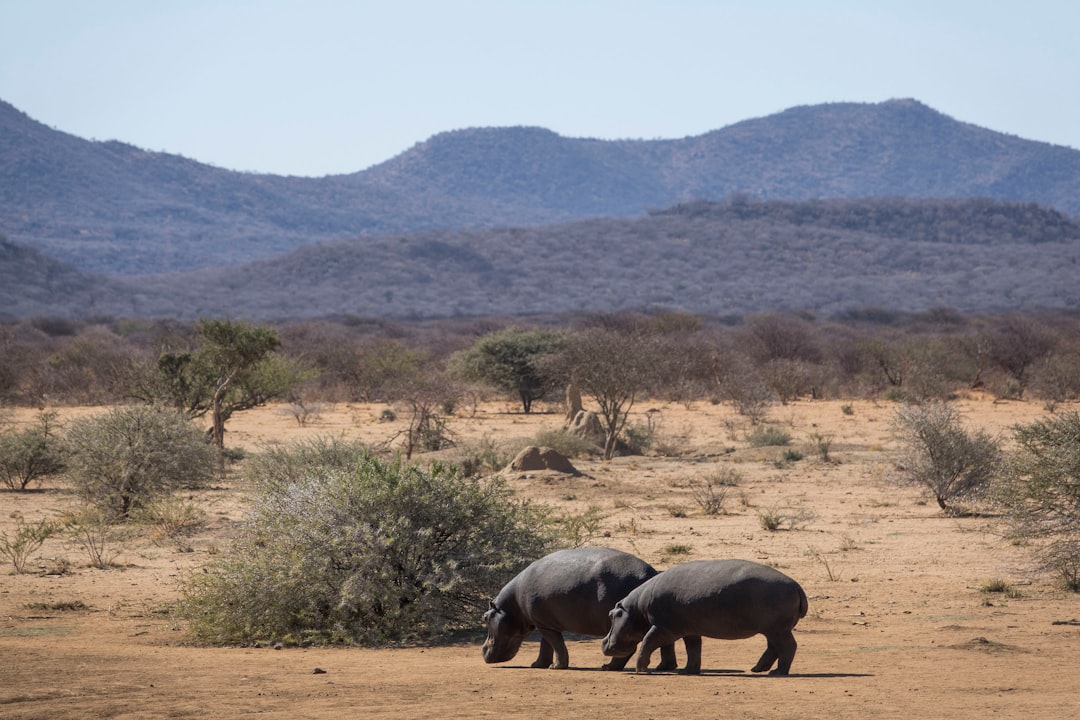 Conservationists Raise Alarm
