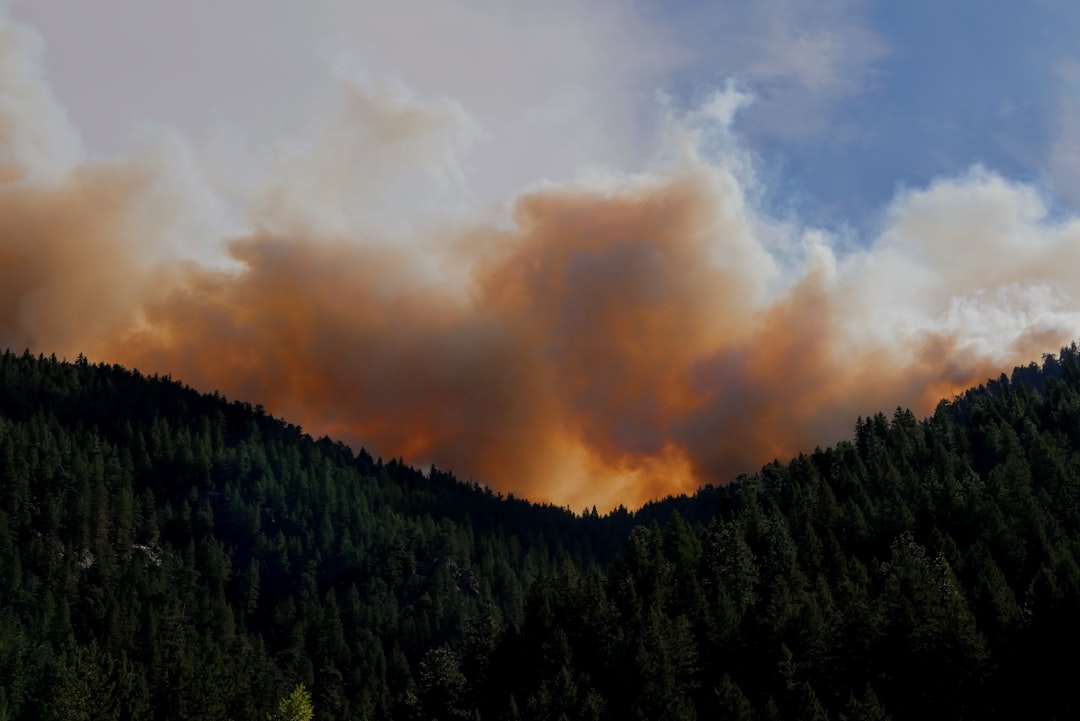 Last Year’s Wildfire Costs