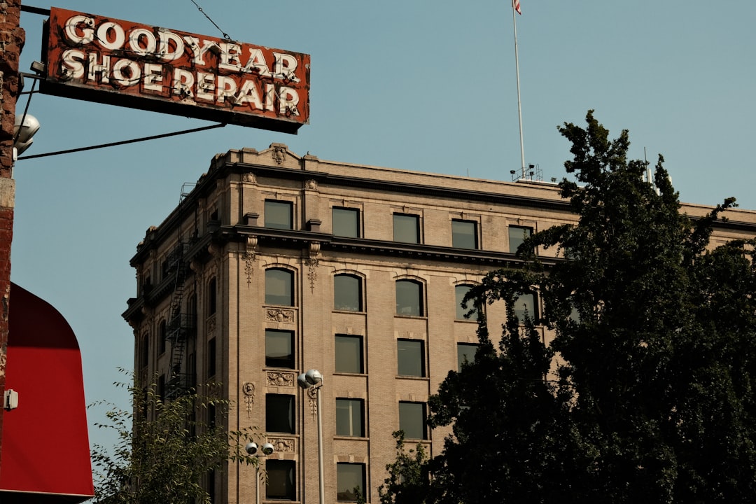 Repairs and Future Upgrades