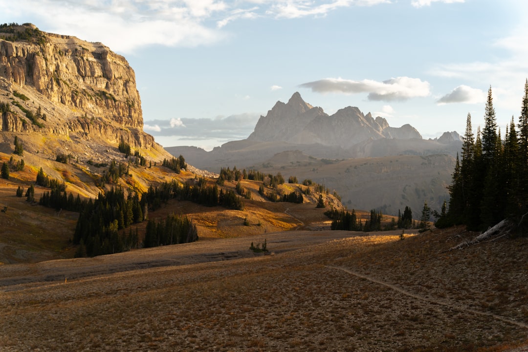 The Future of the Uplands