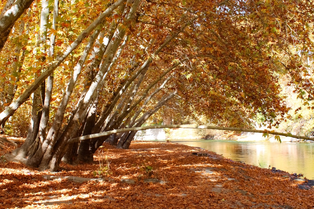 A Shifting Landscape