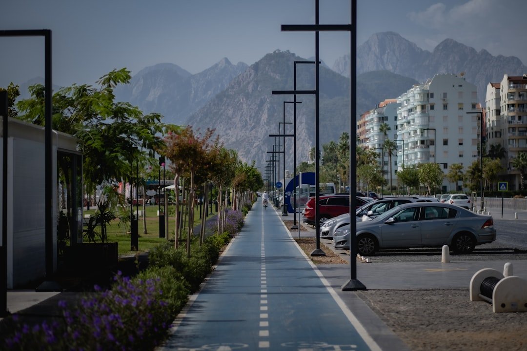 The Path Ahead