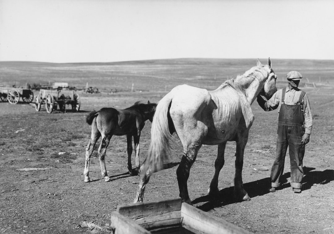 Economic Challenges and Public Unrest