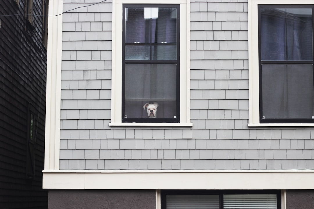 Future Outlook and Landlord Concerns