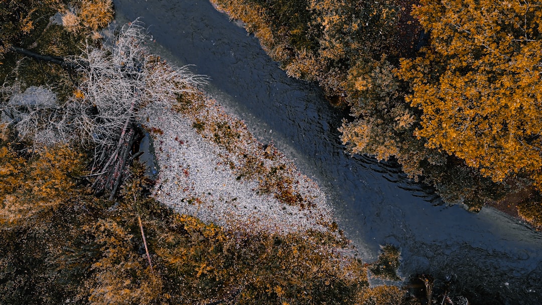 The Current Landscape