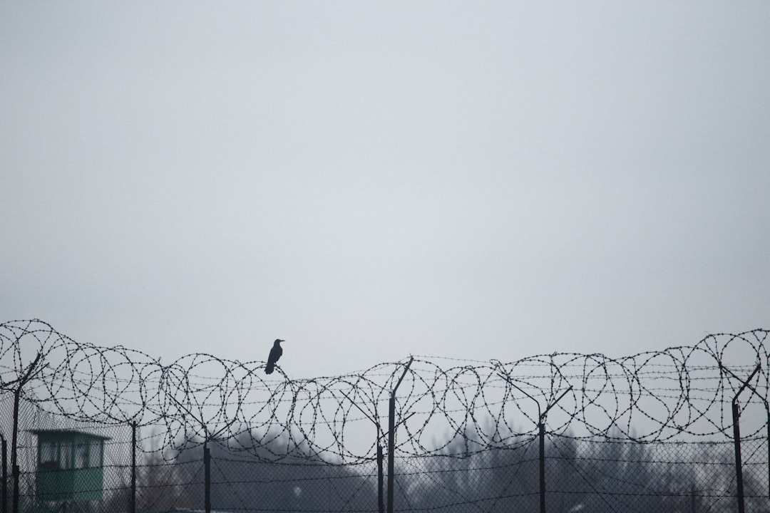 Tougher Stance on Asylum Seekers