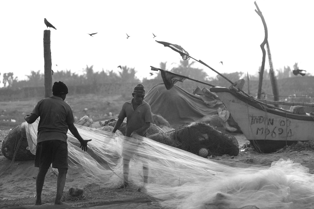 Unfolding Humanitarian Crisis