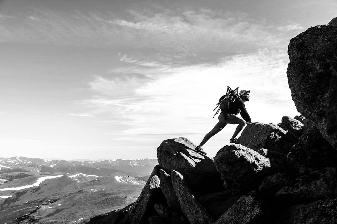 Leadership Dynamics in Question