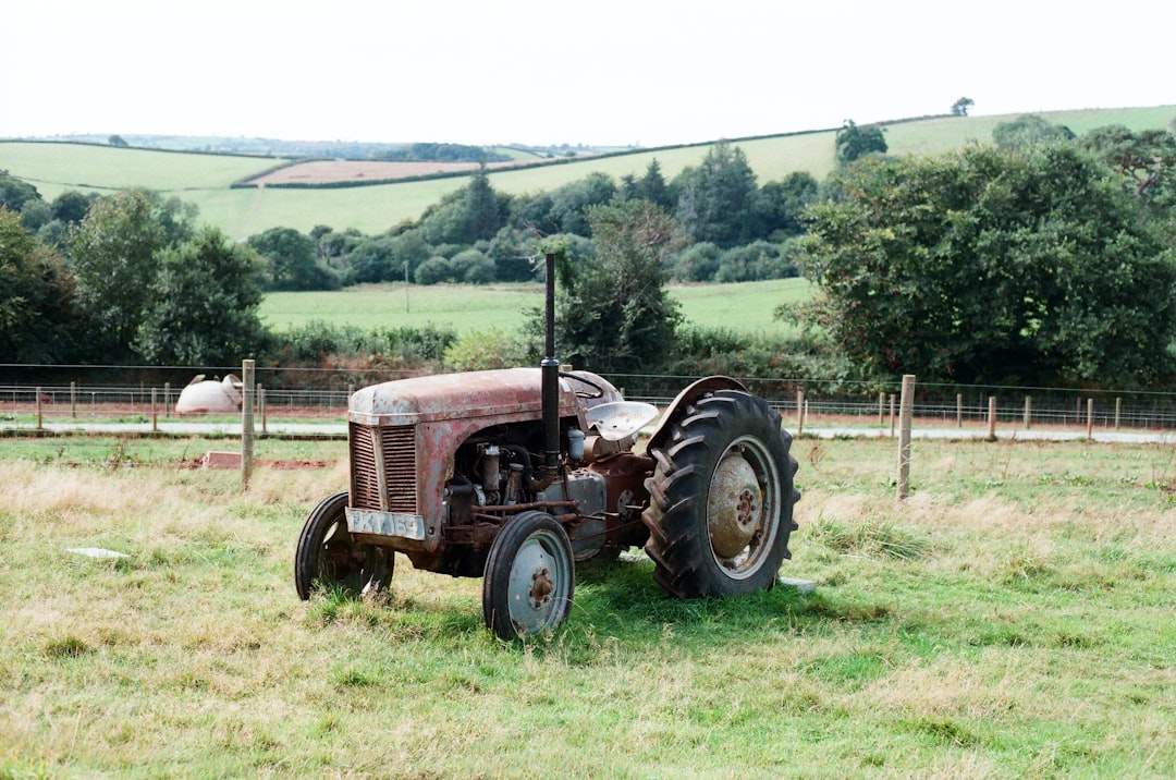 Restoration and Agricultural Revival