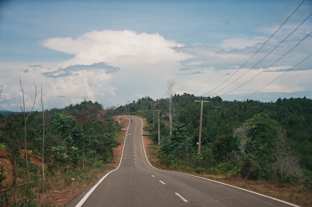 Environmental Risks of Road Salt