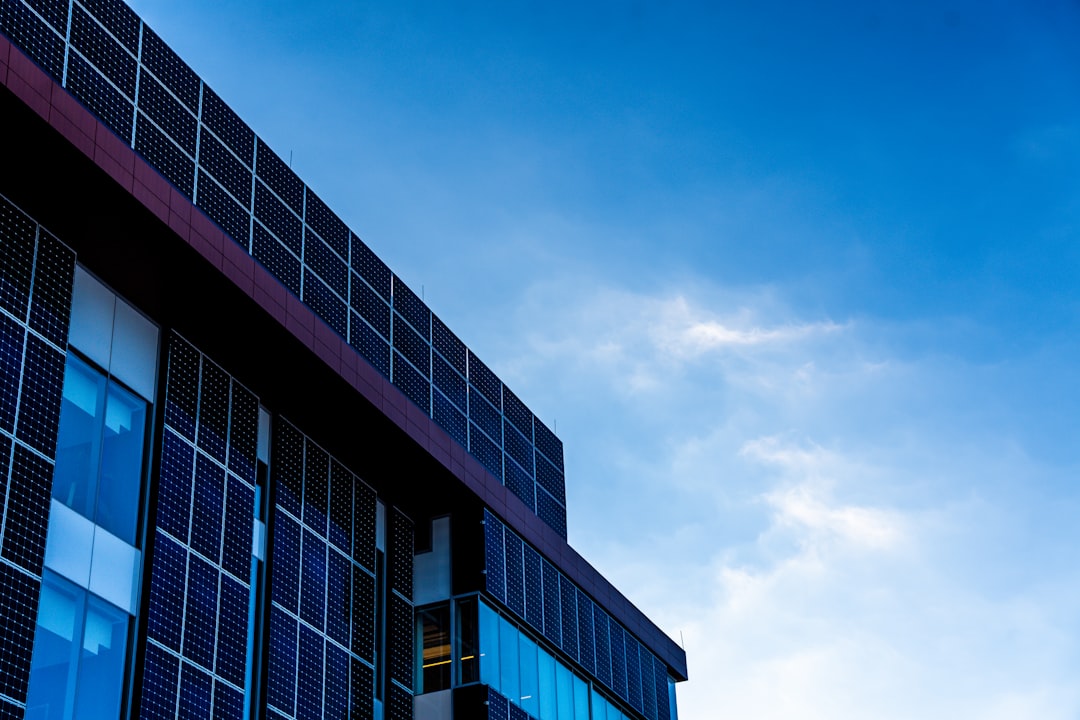 The Future of Conservation