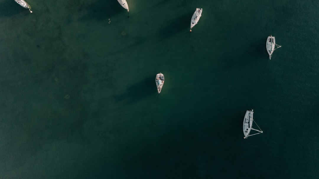 The Shadow Fleet Emerges