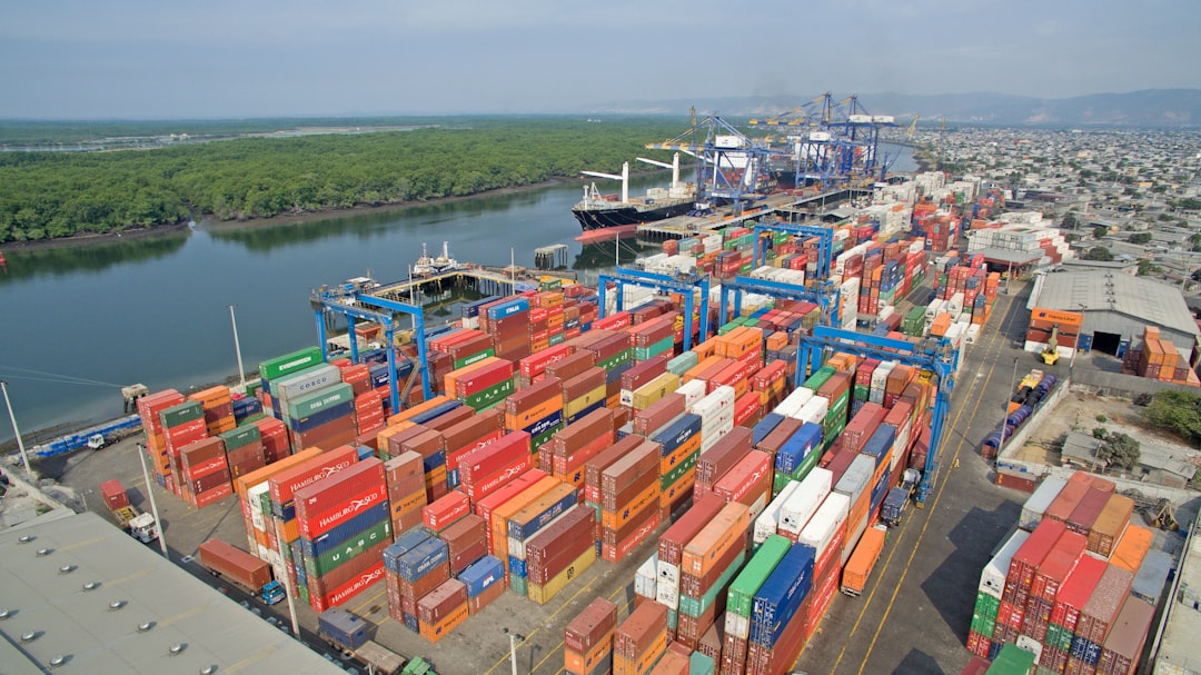 Export Challenges and Market Shifts