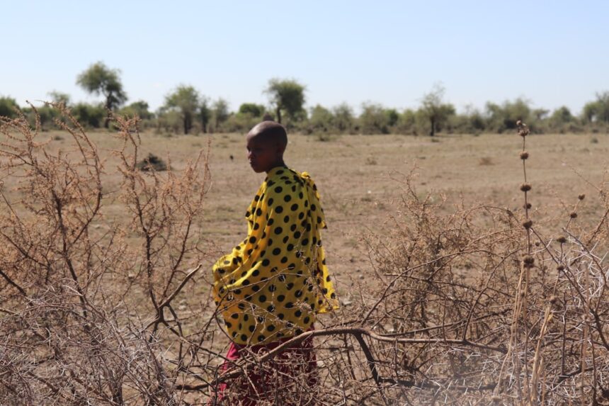 photo-1549854005-4585b7c25f68-2