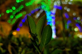 photo-1558249872-a1cb885ec4cd