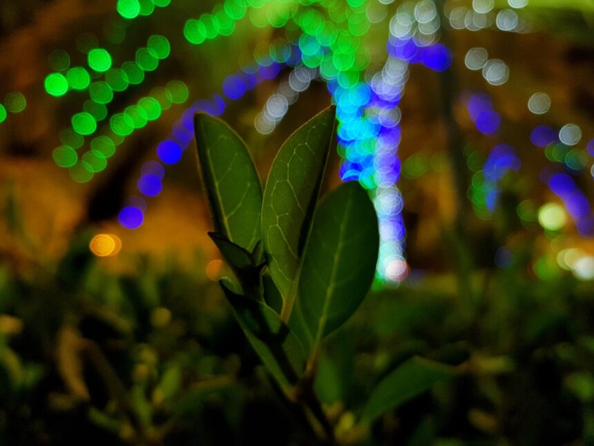 photo-1558249872-a1cb885ec4cd