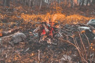 photo-1558439278-070255d1e049