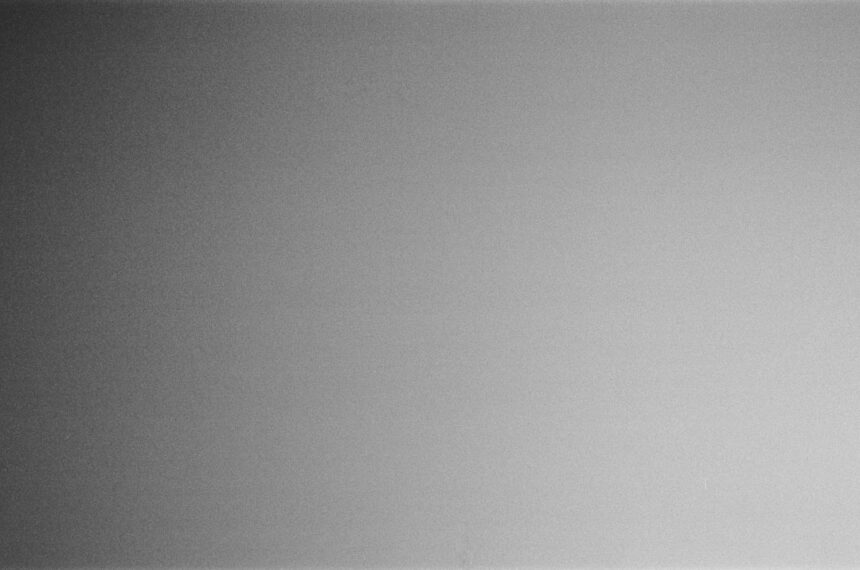 photo-1565450996227-551452737a2b