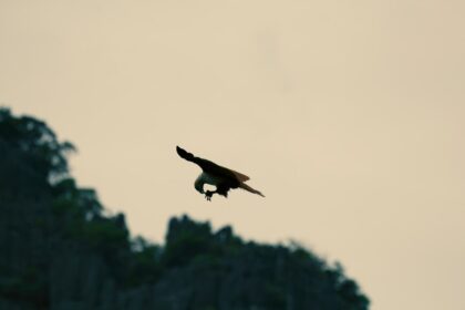 photo-1568691452405-99cbf704e978