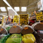 photo-1576940254275-8385faf87cdb