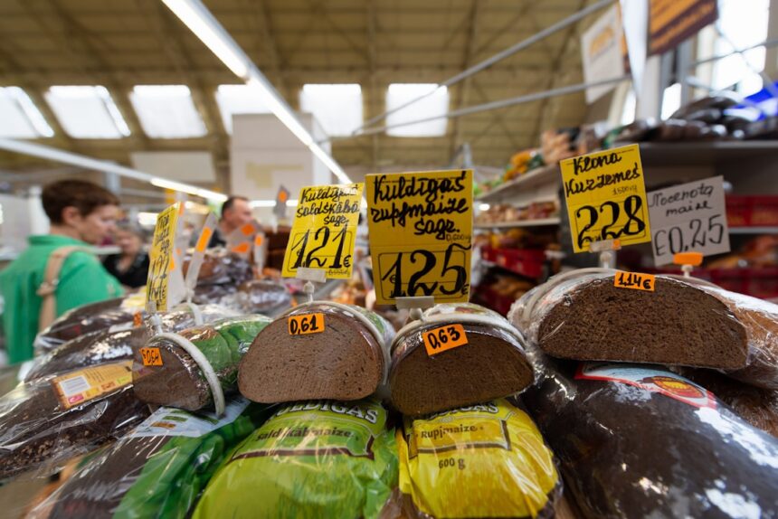 photo-1576940254275-8385faf87cdb