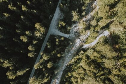 photo-1595762325796-839c68693e66