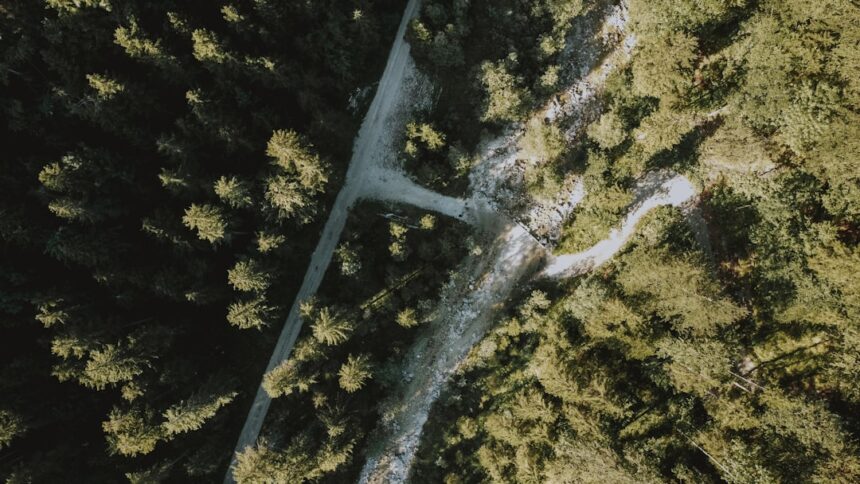 photo-1595762325796-839c68693e66