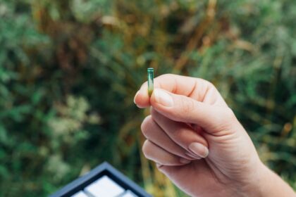 photo-1599590984560-4e96a644a34c