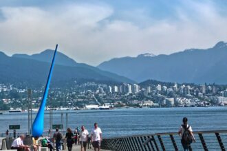 photo-1599943215998-80acfab2085b