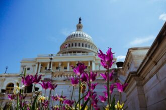 photo-1604546249506-cecc98ffa961