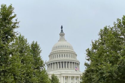 photo-1604704330288-9c43e1a91fd3