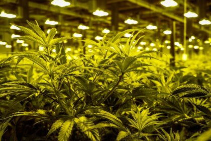 photo-1608214055728-03b1a759beea