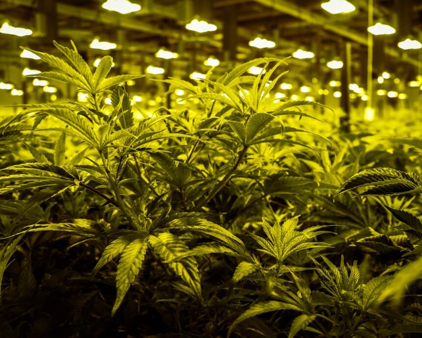 photo-1608214055728-03b1a759beea