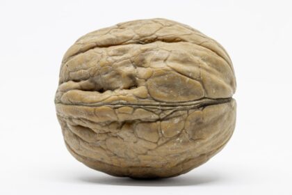 photo-1611529695554-fd3d13d1d819