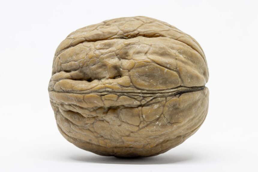 photo-1611529695554-fd3d13d1d819