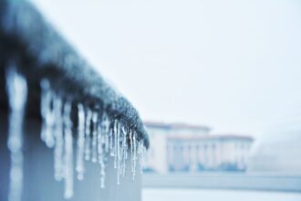 photo-1612012899213-fa00791da157-2