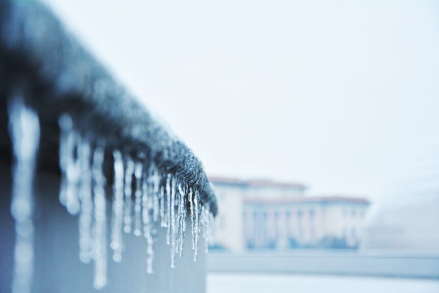 photo-1612012899213-fa00791da157-4