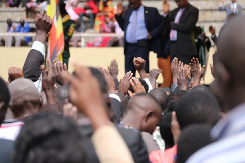 photo-1628243306015-8e333ffdd53c