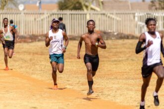 photo-1631668280815-df00093f6f88