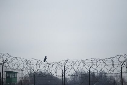 photo-1633060395285-a47f811d5a52