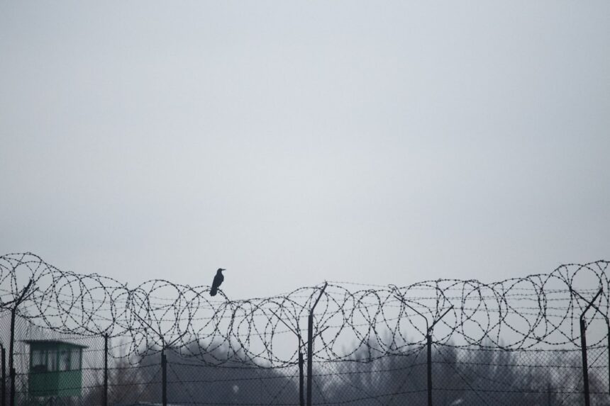 photo-1633060395285-a47f811d5a52