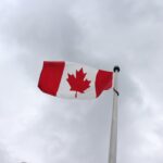 photo-1637783038917-c8d883362ca1-3