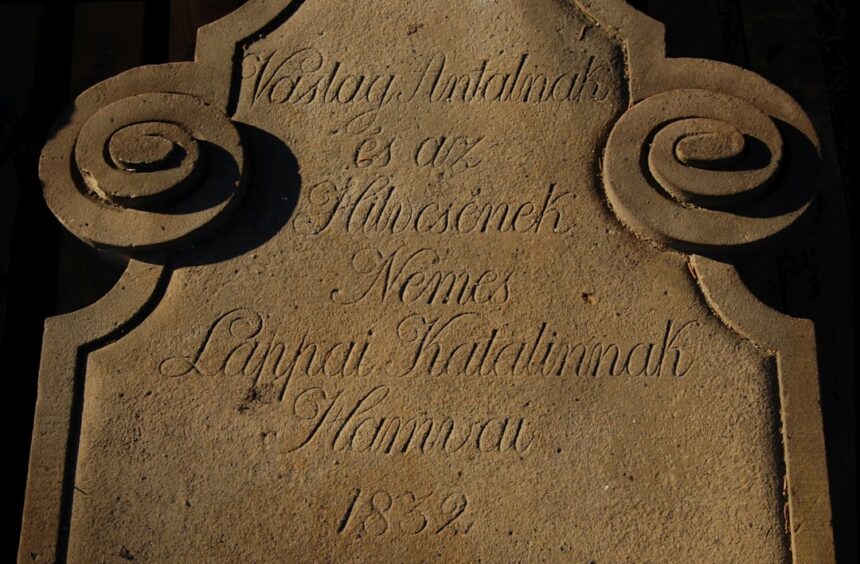 photo-1641928680266-3e54324b9ec5